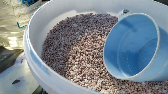 Первая подкормка роз и обработка от болезней.Розы осенней посадки 2020г и весенней посадки 2021 г. смотреть онлайн