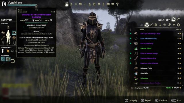 The Elder Scrolls Online - How to be a successful Tank смотреть онлайн