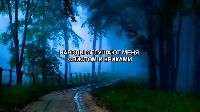 Кунту майтан смотреть онлайн