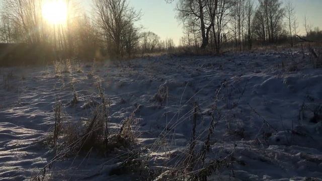 ЗИМНИЙ КОП,МЕТАЛЛА ЗДЕСЬ МНОГО