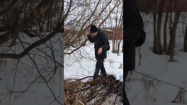 Жирная жаба смотреть онлайн