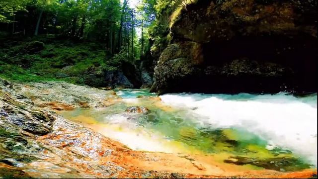 Relaxing Piano and Saxophone Music for Study, Sleep, Relaxing | Meditation Music смотреть онлайн