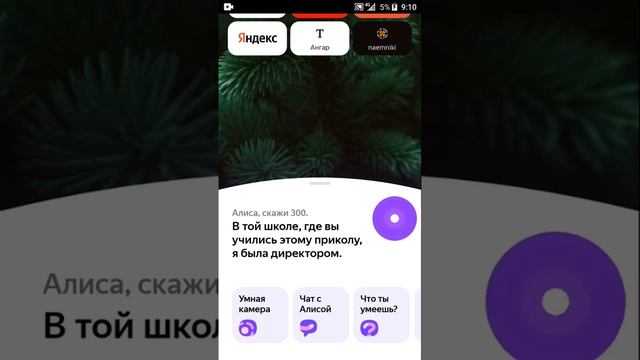 Алиса скажи 300. Прикол ?? смотреть онлайн