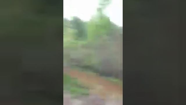 Поларис рейнжер в болоте смотреть онлайн