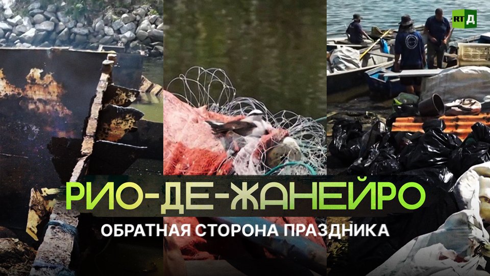 Бразилия: экологические тайны залива Гуанабара смотреть онлайн