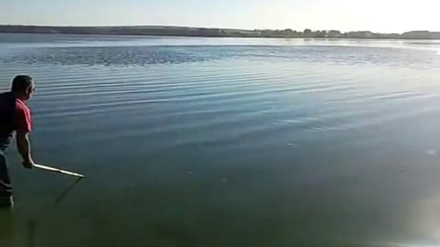 Ловля карпа 6,5кг на Нижней Крынке 21.10.2012 смотреть онлайн