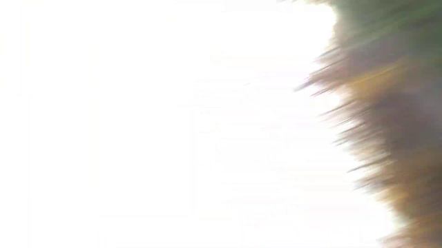 Моя реальная жизнь в среду