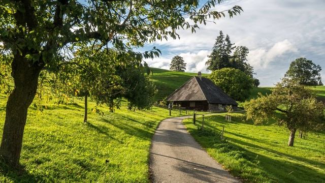 Музыка для учебы и работы. Стиль lofi. смотреть онлайн