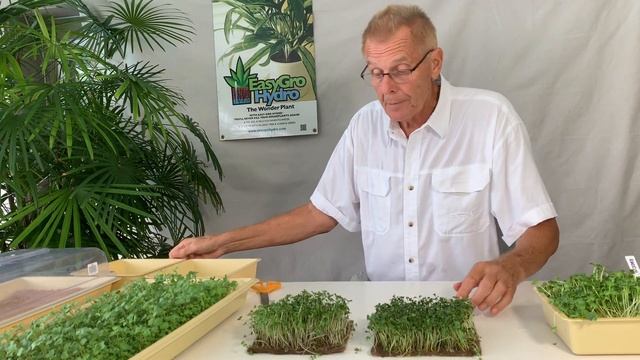 Beginners Guide to Growing Microgreens смотреть онлайн