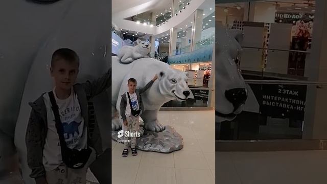 Устин и Белые медведи. #shorts смотреть онлайн