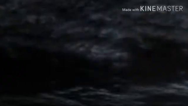 Soma Tiger csn Happy B'day смотреть онлайн