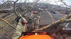 Как спилить дерево ? Спил деревьев Ростовская область !