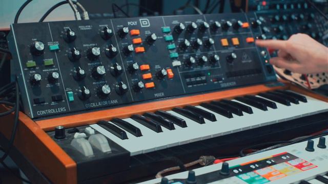 Behringer Poly-D - Overview and use cases смотреть онлайн