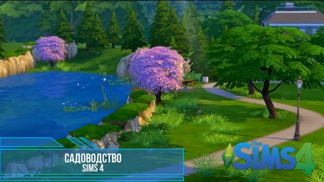 Sims 4 Садоводство ч. 1 Simsyapedia #8 смотреть онлайн
