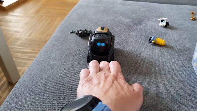 Anki Vector, общаюсь с самым умным мини роботом ?