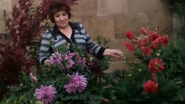 С днем рождения, мама. смотреть онлайн