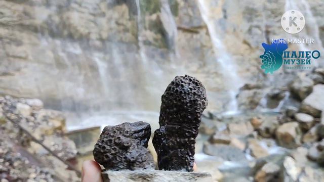 Окаменевшие кораллы с водопада Учан Су смотреть онлайн