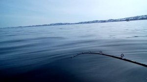 Баренцево море, ловля трески со 100м.