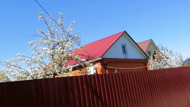 Дом в дачном районе: преимущества и недостатки смотреть онлайн