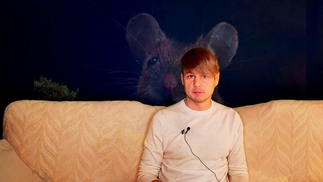 Запад умирает. Грозит ли России вымирание? смотреть онлайн
