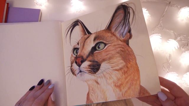 Моя бумага для цветных карандашей (в т.ч. акварельной) смотреть онлайн