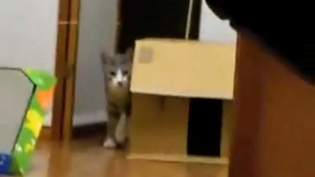 Котоматрица смотреть онлайн