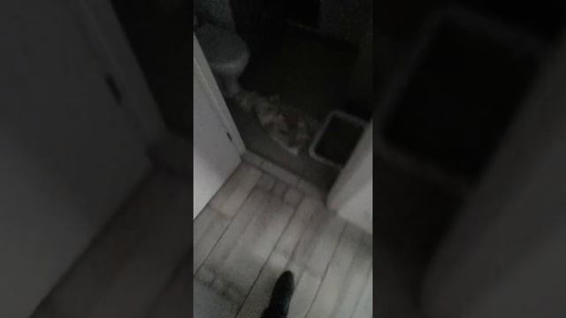 Потоп!!! Ремонт от ГК ПИК Саларьево Парк смотреть онлайн