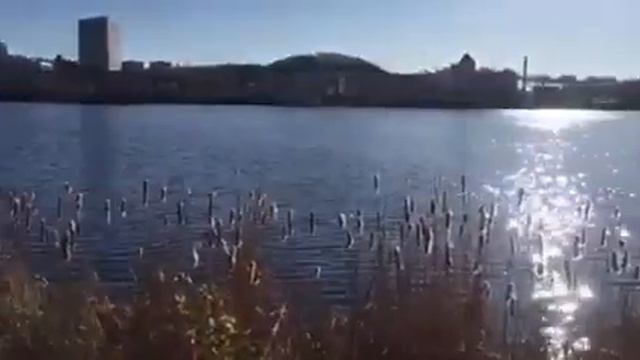 Сергей Фокин о "Завтрак Шефа" смотреть онлайн