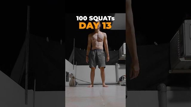 [DAY 13] Saitama Challenge Me Short #challenge #onepunchman #calisthenics #pushups #squats смотреть онлайн