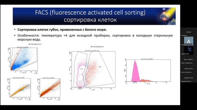 Александра Далина «Основы проточной цитометрии» смотреть онлайн