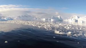 Круиз в Антарктиду Подход к Антарктиде и высадка на материк