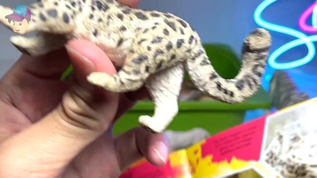 Wild Cats Big Cats Collection Tiger Lion Cheetah Jaguar Leopard Panther Serval Clouded Leopard