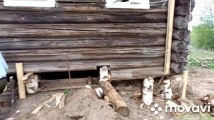 Подъем деревянного дома с русской печкой.