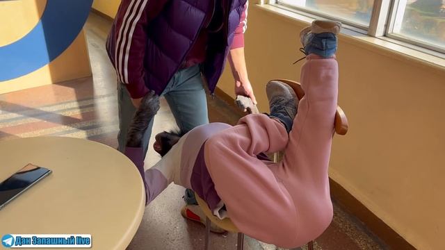 ИГРАЮ С ИЗБАЛОВАННОЙ ОБЕЗЬЯНОЙ! Русский артист о Тбилисском цирке и о профессии смотреть онлайн