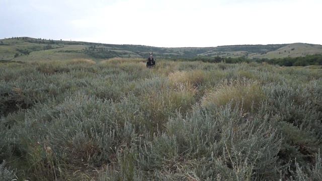 Приношение Разбойнику смотреть онлайн