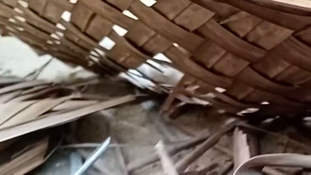 The Endless Charm of Funny Cat Videos: Exploring the Delightful World of Feline Humor| #funny #cat смотреть онлайн