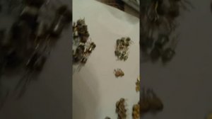 Выход с Вольтметра В7-27А-82г.в. разбор Ч.-2 #Драгметаллы#ВольтметрСССР#Выход#золото#палладий