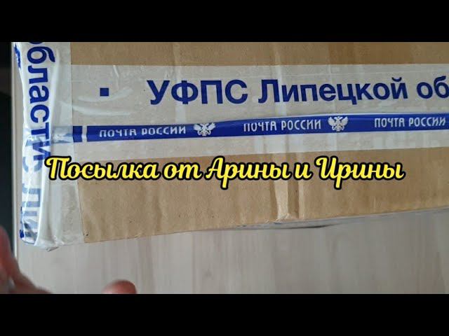 Посылка от благодарных родителей смотреть онлайн