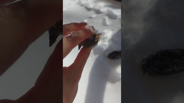 Snail in winter улитка зимой смотреть онлайн