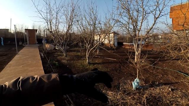 Первая поездка на дачу в 2022 году