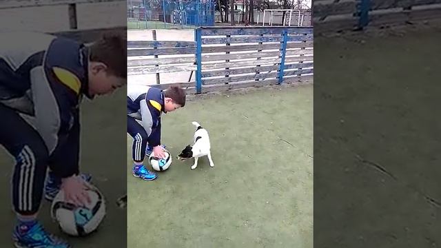 Играем в футбол. Зара с мальчиком гоняют мяч. смотреть онлайн