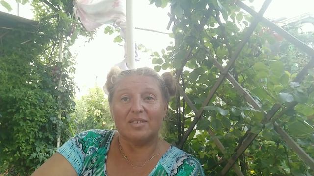 РЕВЕЛА БУРЯ, ГРОМ ГРЕМЕЛ... И НИЧЕГО НЕ ПОЛУЧИЛОСЬ. смотреть онлайн