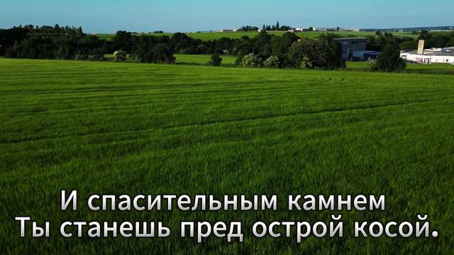 Косари на лугу размахалися острыми косами || Христианские псалмы || Христианское пение смотреть онлайн