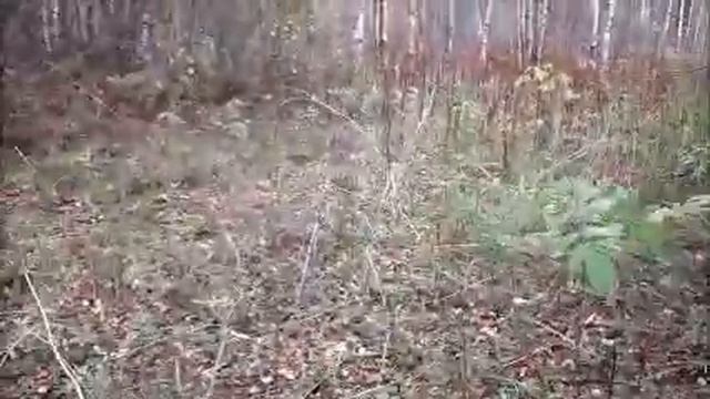 ДЖЕК КОП по деревенски самый большой вес смотреть онлайн