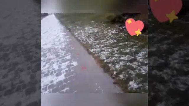 Дача на десне😊 смотреть онлайн