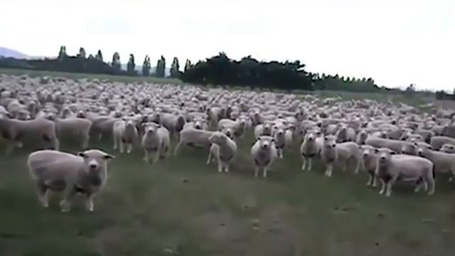 Кто такие ХИПСТЕРЫ? смотреть онлайн