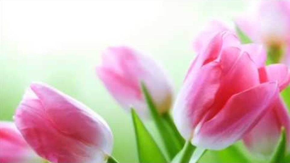 Мантра, открывающая внутреннее видение смотреть онлайн