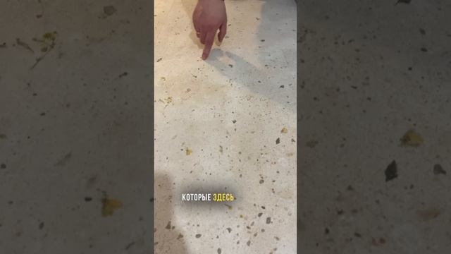 Ламинат с настоящими цветами