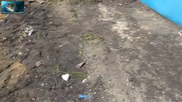 1. Купили гараж. Начало ремонта. смотреть онлайн