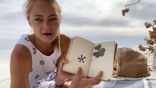 Van Life Vlog: White Sands, New Mexico смотреть онлайн